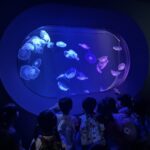 秋の遠足②🐬✨