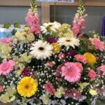 伊都の杜園の卒園式🌸